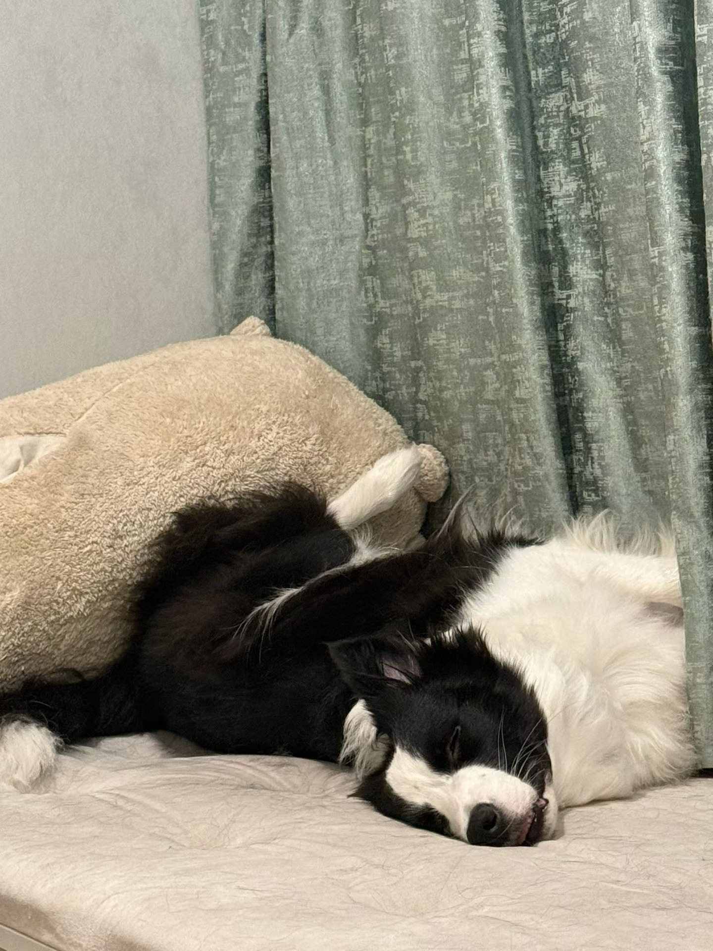 丑哭了 