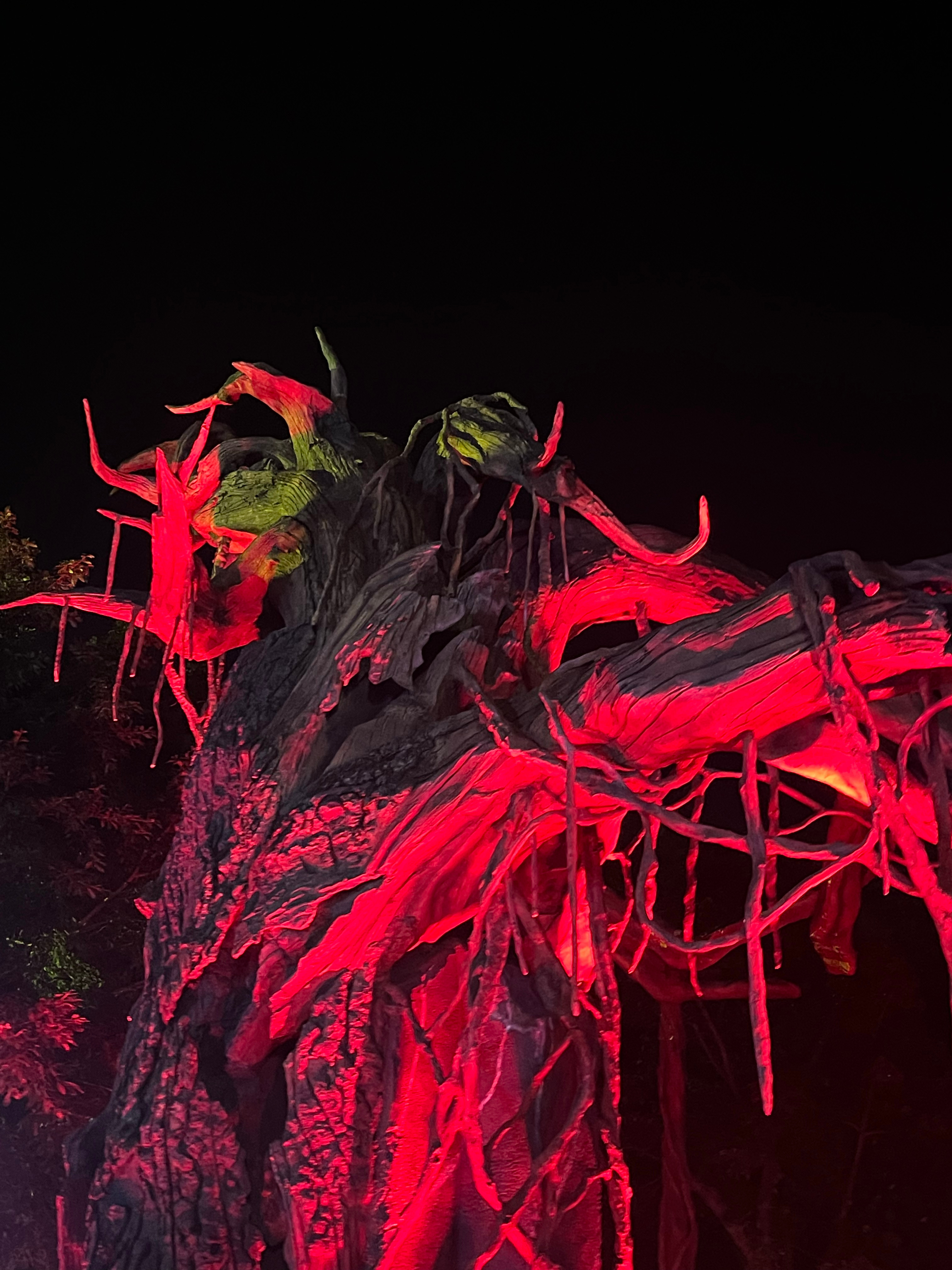 吓惨了  ​​​