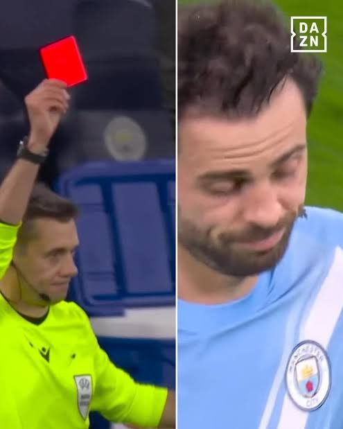 蒂尔潘：兄弟情深