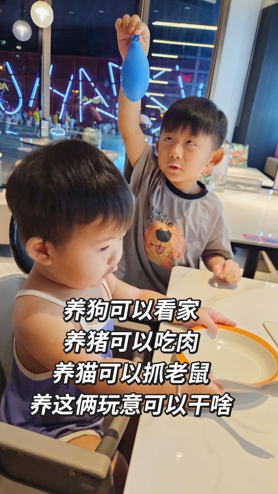 养狗可以看家 养猪可以吃肉 养猫可以抓老鼠 养这俩玩意可以干啥