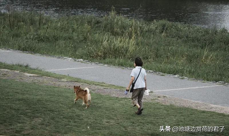 晒图笔记大赛 今天早上散步，去了楚王城公园和楚王天下大舞台。一到那，就感觉空气格