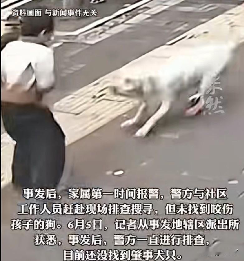 5岁男童在家中被突然闯入的流浪狗咬伤，脸部缝了20多针，狗现在还没找到！

6月