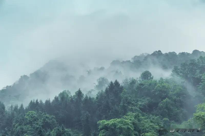 看到“雨打青山万木新”求上联，我觉得“云开碧野千花笑”就很不错。“云开”对应“雨