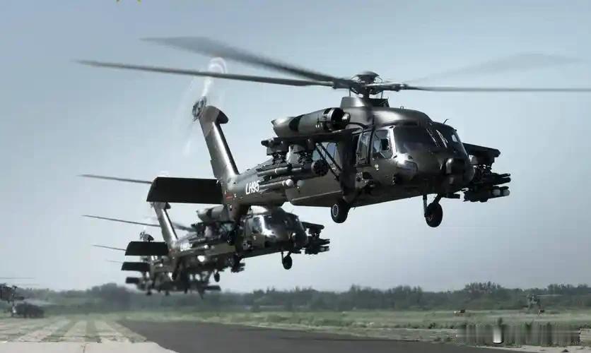 在中国的航空版图中，直-20宛如一颗耀眼的新星，以自主研制的身份闪耀登场。它是一