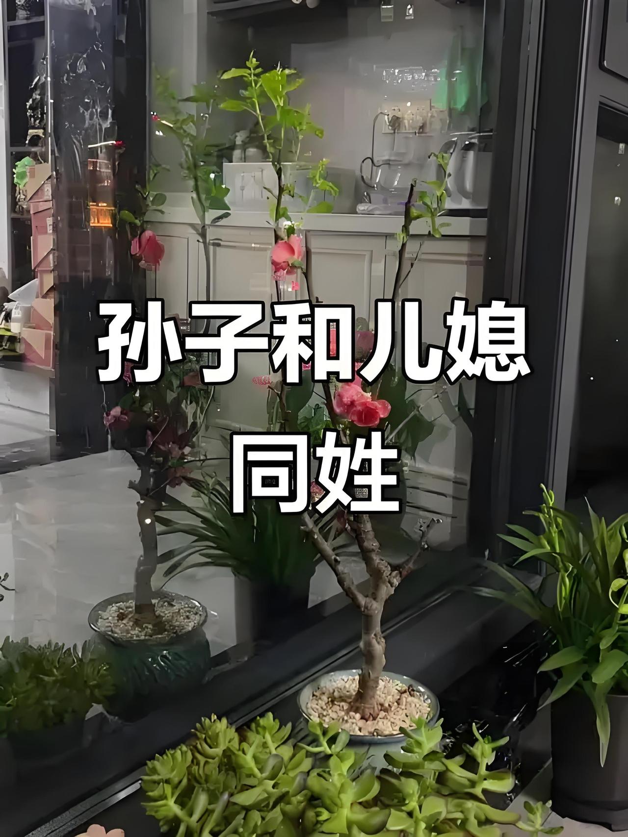 河北某小区的一对老两口看见新鲜出炉的大孙子还没热乎两天就不香了，大孙子跟儿媳妇姓