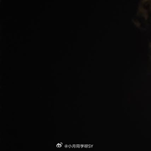 晚安心语 夜空将星光与梦境一同打包，装入安静的夜晚。愿你在温柔的黑暗里，与久违的