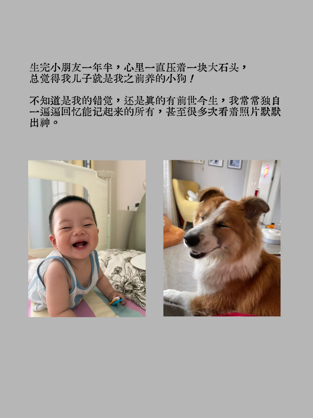 🐶我的小狗换了一个身份又回到了我身边👦🏻