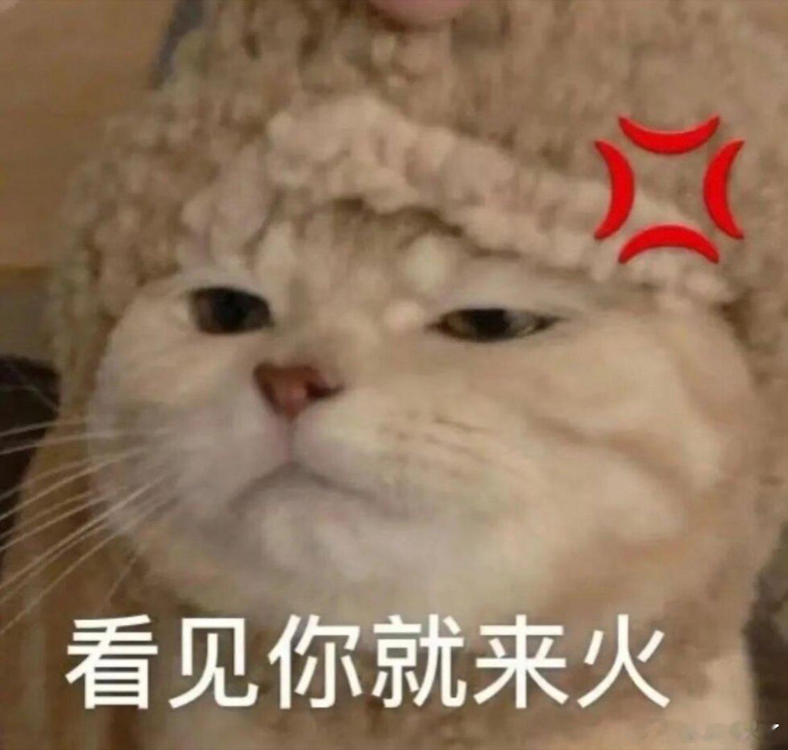 可爱表情包。 ​​​