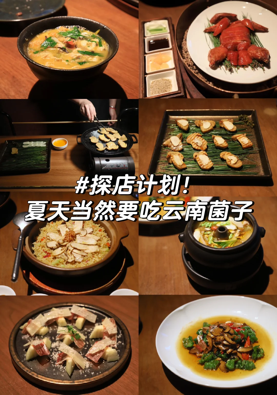 探店 | 上海也能吃到云南鲜菌子！错过等一年