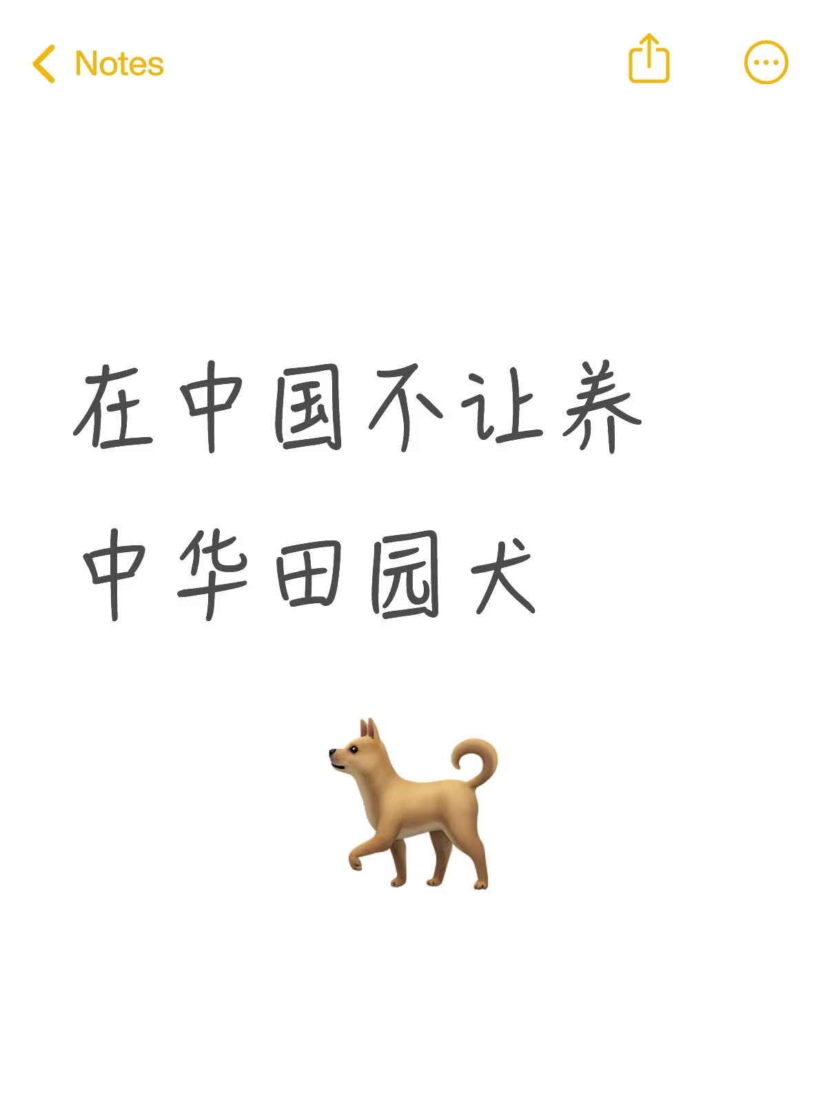 中华田园犬 禁养1937年和日本狼青打架没想到后代被禁养了 ​​​
