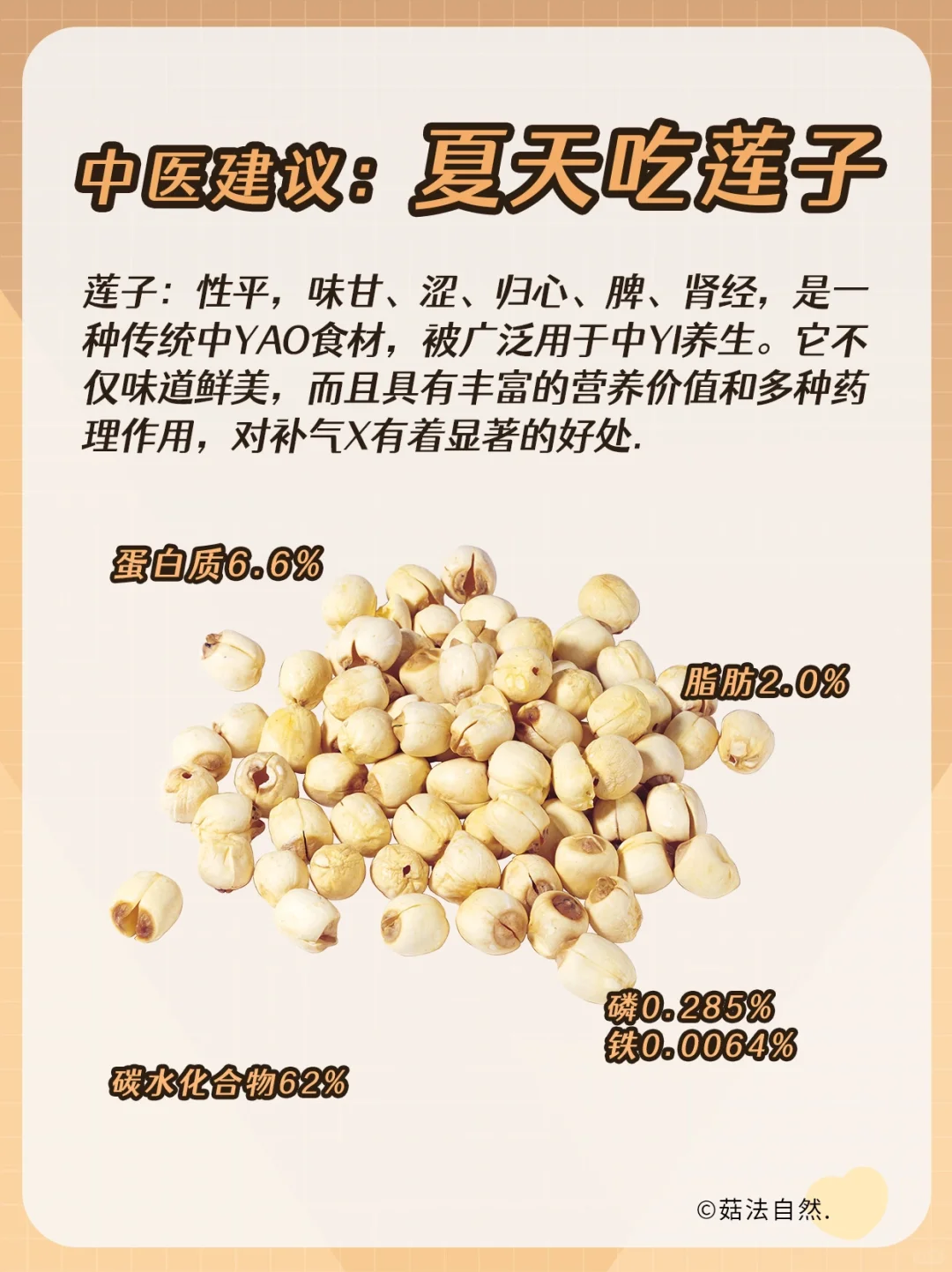🔥夏季养生食材就选它——建宁莲子