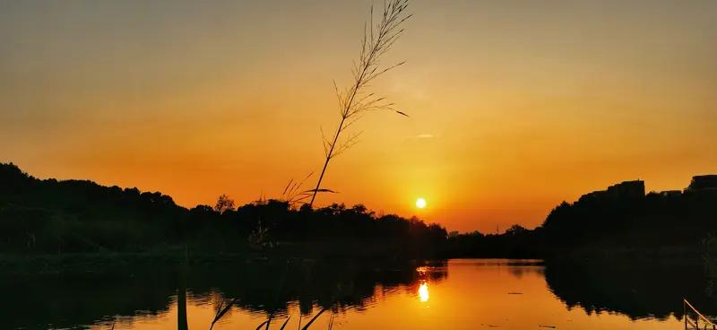 在这快节奏的时代，人人都在追名逐利，可越追越容易迷失。内心的淡定与从容，就像一汪