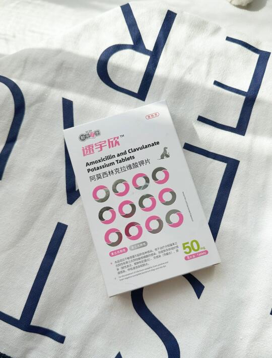 春季猫咪健康预警！铲屎官必tun的救命神器！