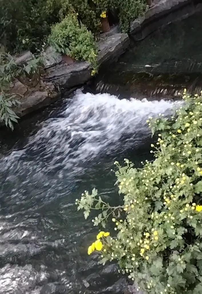 大家都爱听好听的话，不过有时候忠言逆耳才是真正的好朋友。
真正的晋升和成长，往往