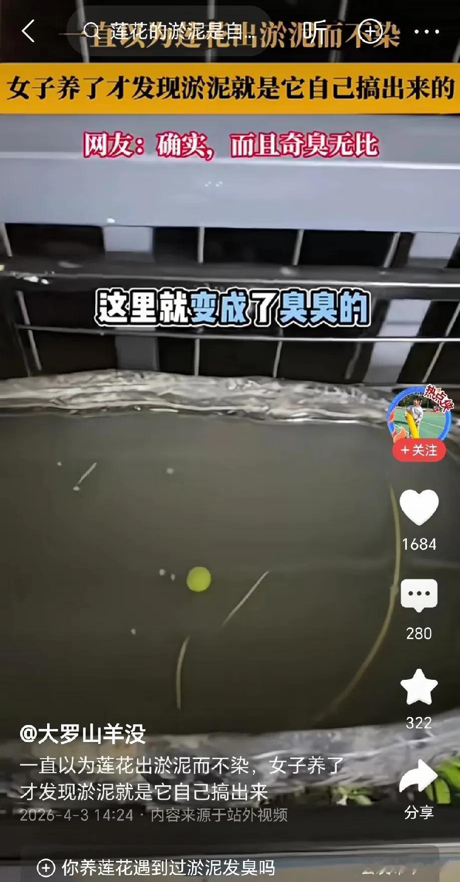 我竟然被骗了这么多年，原来书本上的东西都是美化过的，是经不起推敲的！女子养了一盆