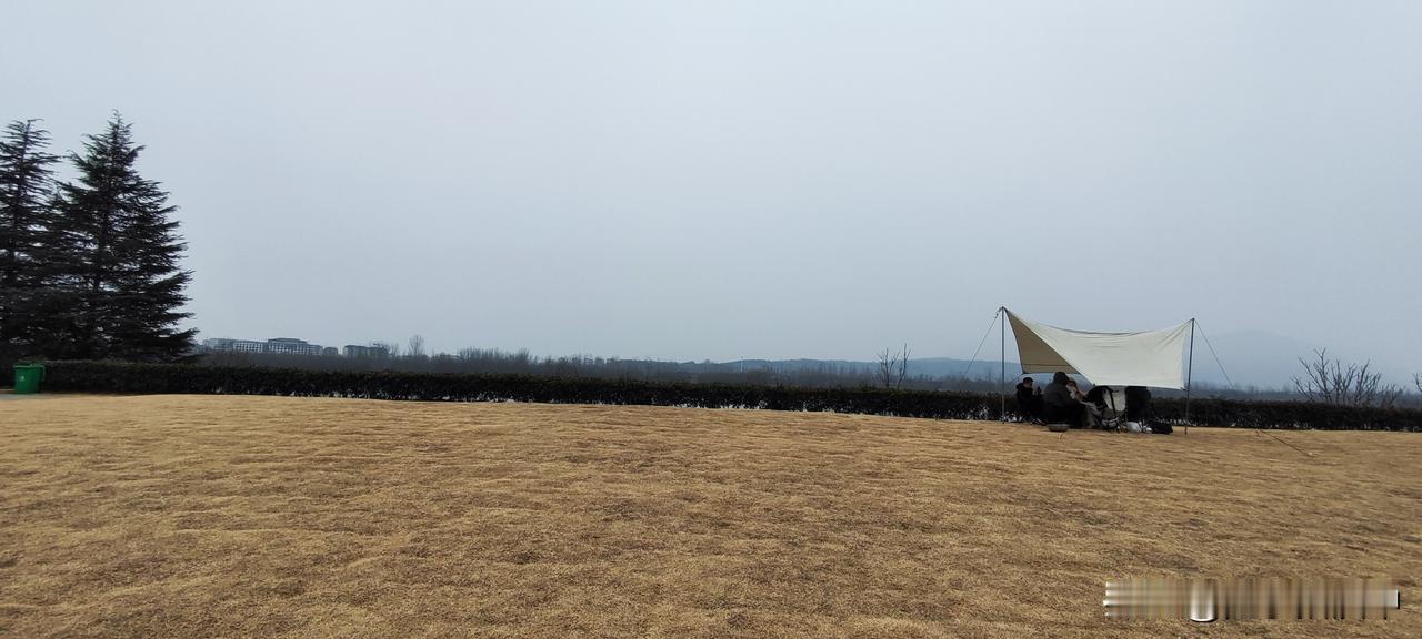 晒图笔记大赛今天飘雪，落在衣服上还能看见一瞬间的雪的模样。龙岗大桥这边的小草坪上