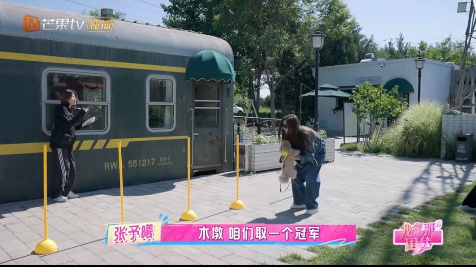 狗界障碍赛考的是张予曦张予曦带小狗比赛也太可爱了！狗狗全程“划水”，她倒忙得脚不