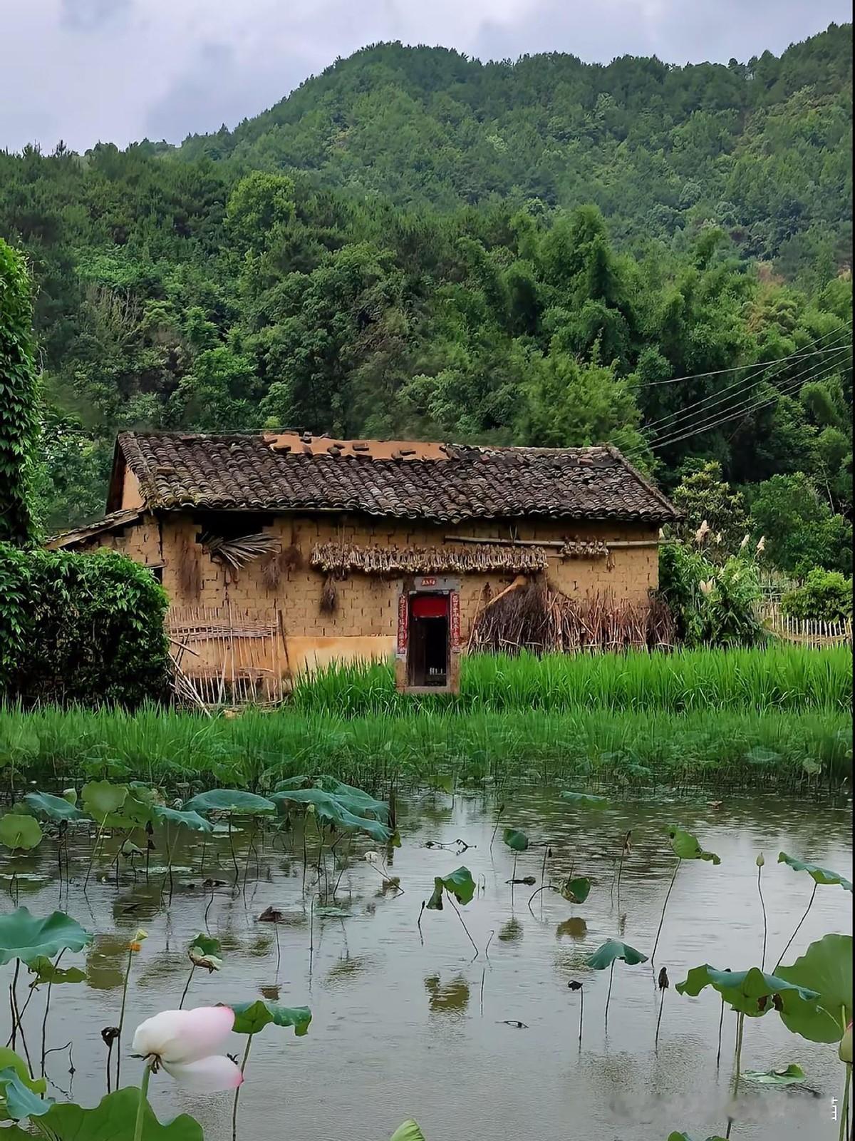 十八岁，灌醉大22岁的杭州男友，怀孕后没找他，直接敲开了他妈妈的门。
西南山区出