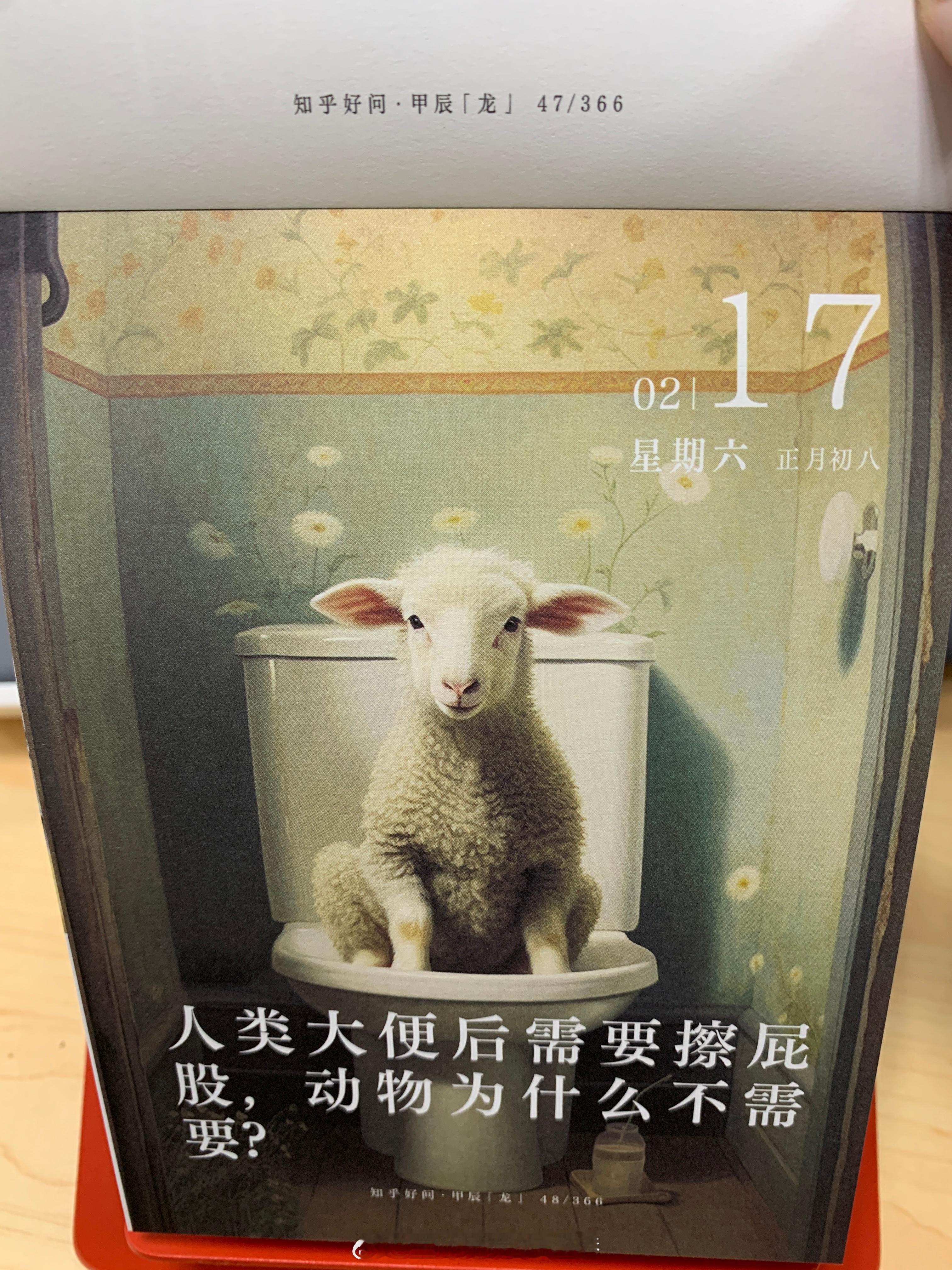 朋友们早上好～ ​​​