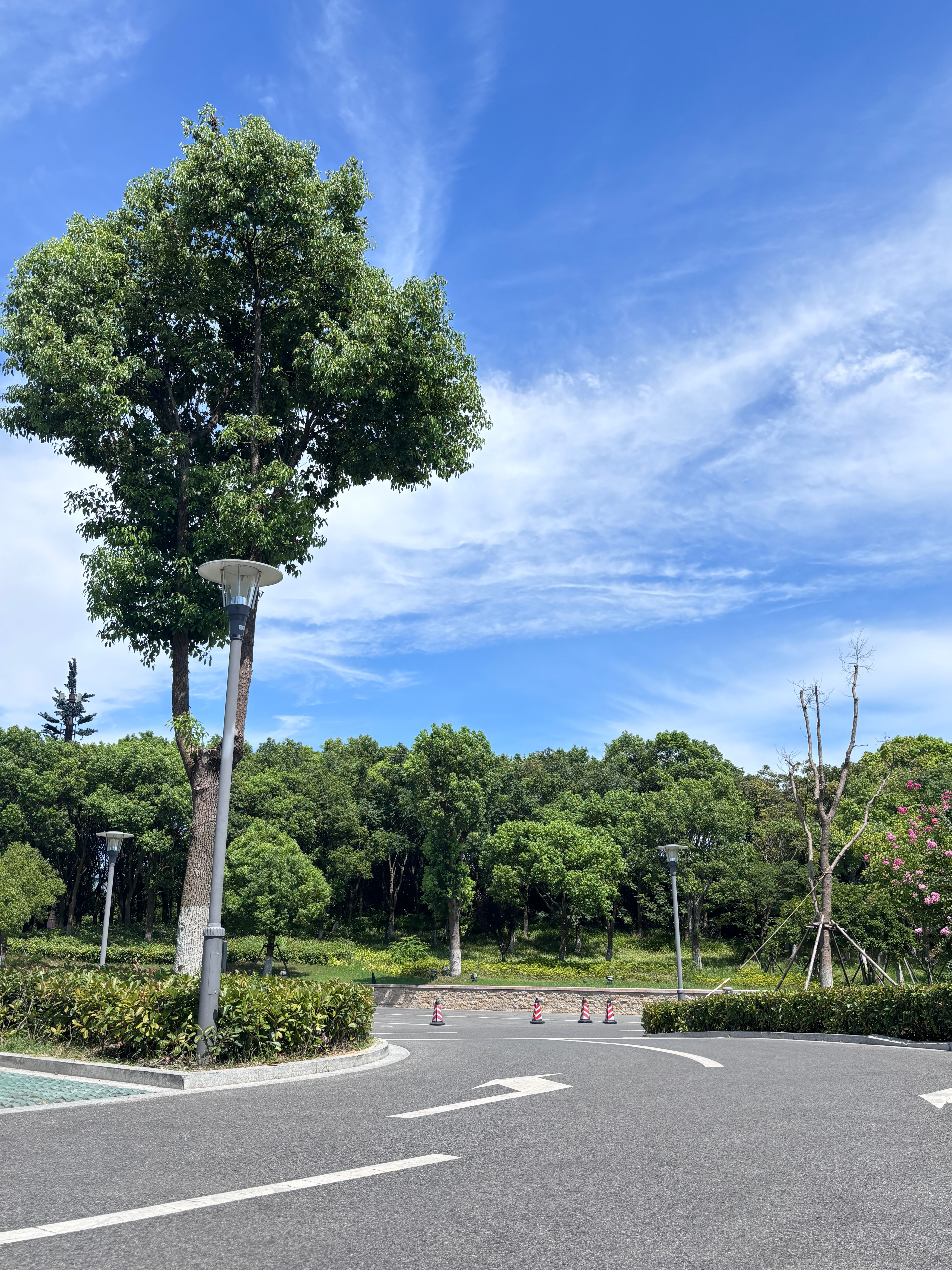 今天的暴晒浦东谁来给我发高温补贴 [抓狂][抓狂][抓狂][抓狂][抓狂] ​​