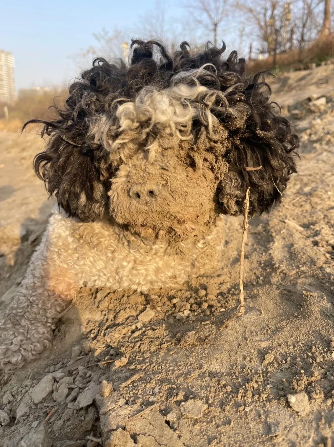 刚做了一个沙雕，戴上假发是不是很逼真？