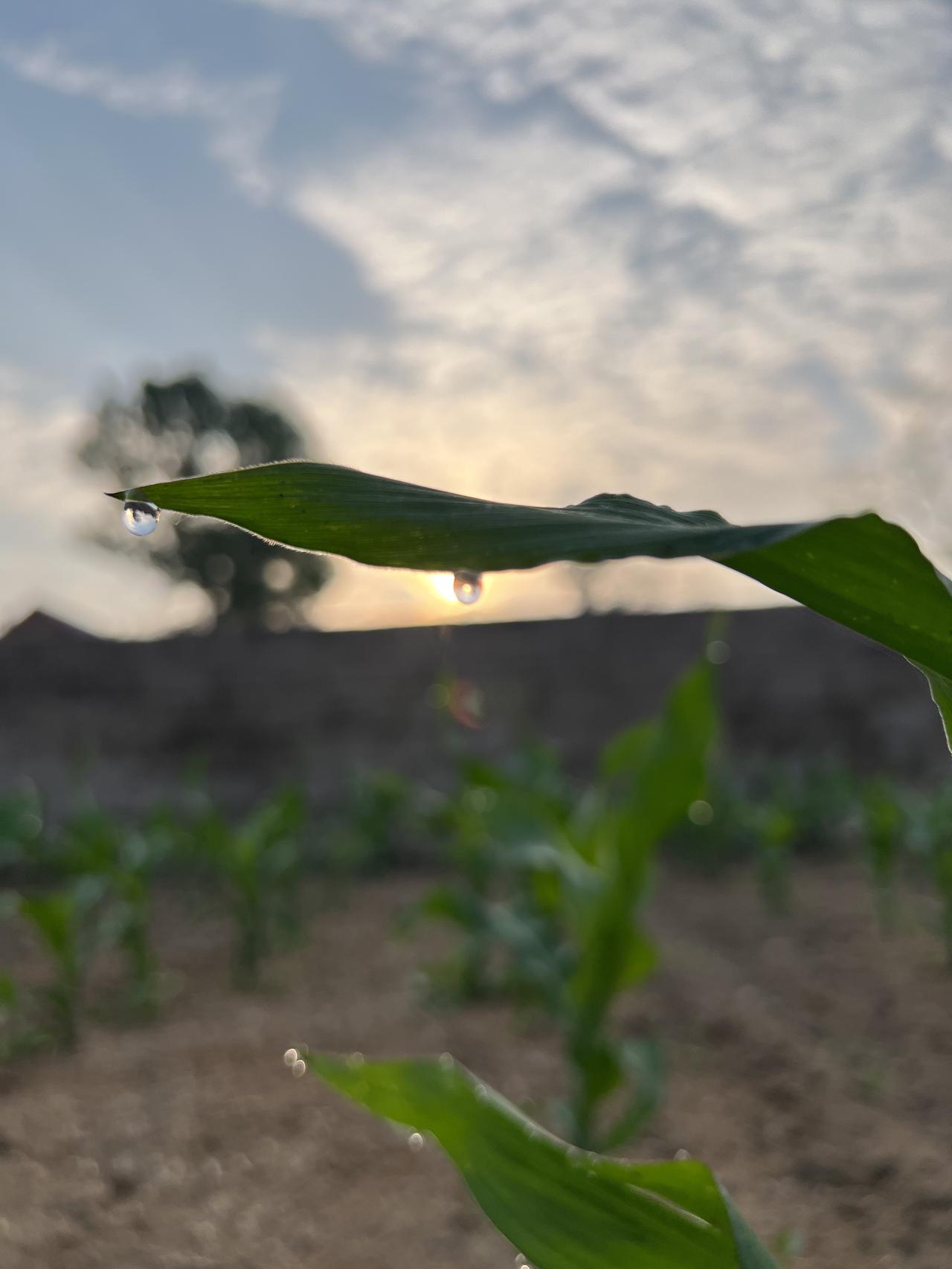 这是一个不知名的小山坳，
有村有庄，六畜兴旺，阡陌交通，鸡犬相闻。


可以分享