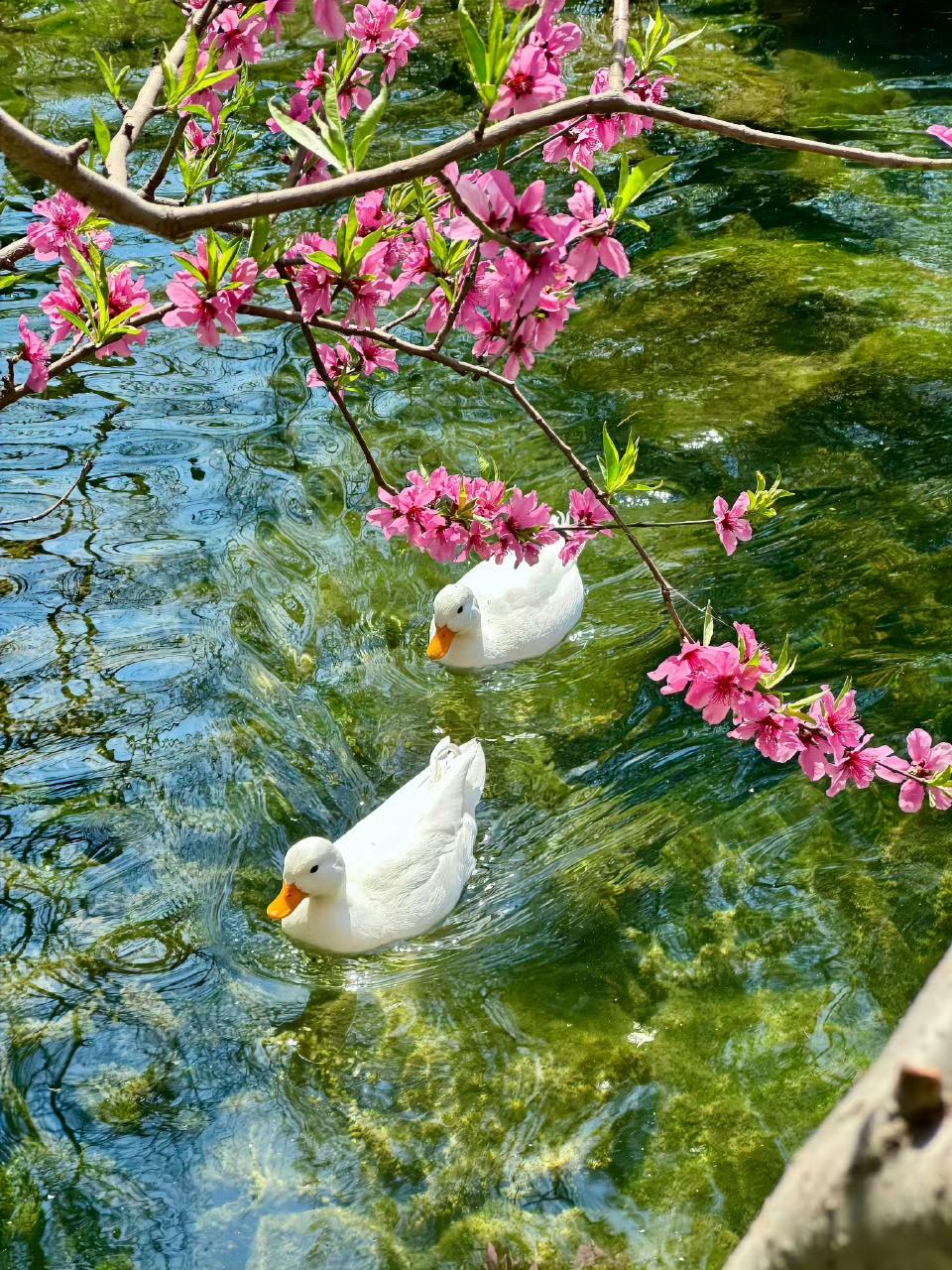 突然读懂这句词:山川风景好，自古金陵道，少年看却老。

五一假期越来越近，你却没