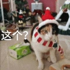 ⭕ 【春节修图计划】1️⃣补修暮晚摇杀青特辑2️⃣修平李佩仪3️⃣修平庾晚音4️