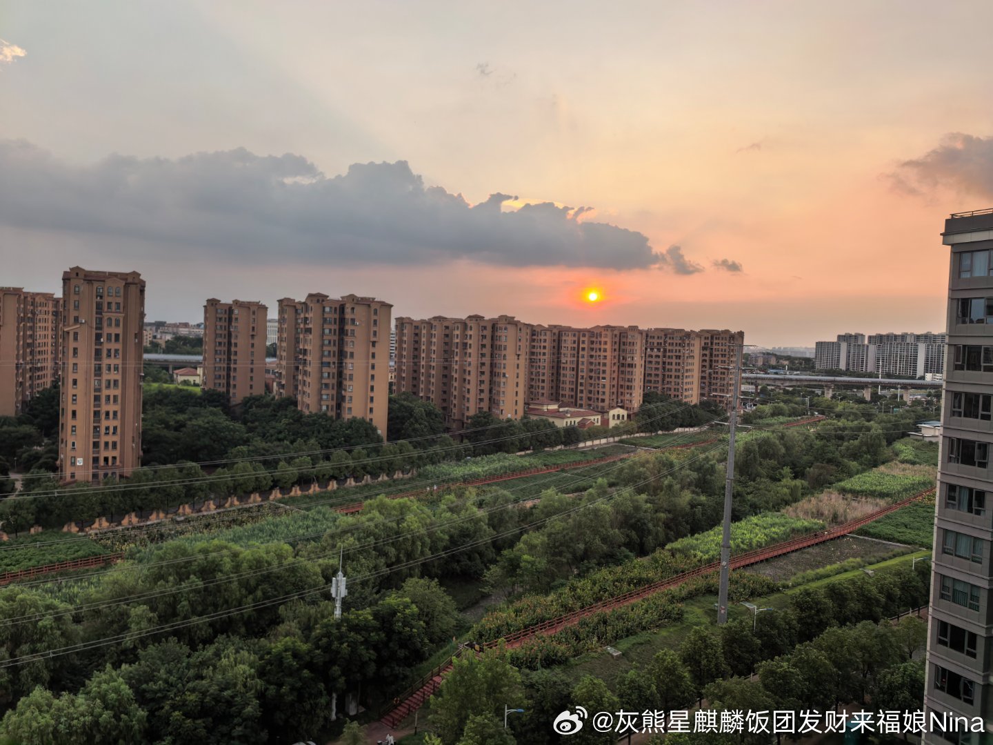 今天的咸蛋黄