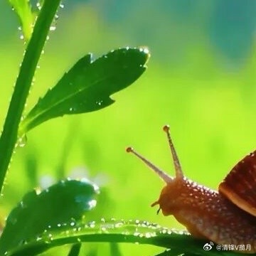 新的一天，新的心情，全新的自己。先给自己一个微笑。少一点抱怨，多一点坚持。看淡得
