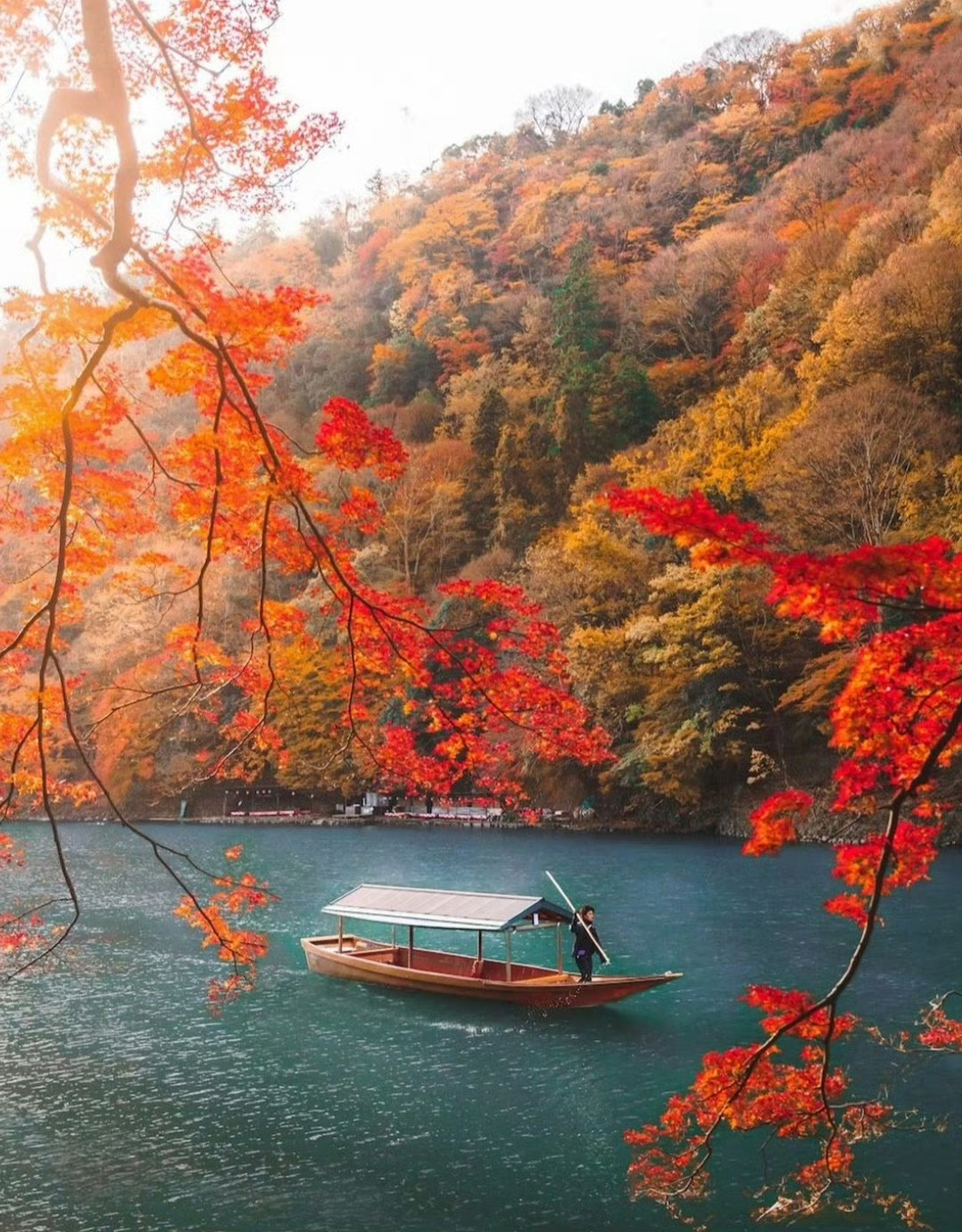 “ 满载一船秋色，平铺十里如意 … ” ​ ​​​