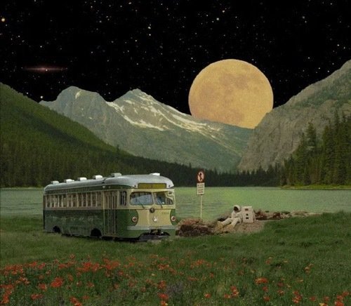 一直留恋昨日，不可能有更好的明天。——查尔斯·凯特林