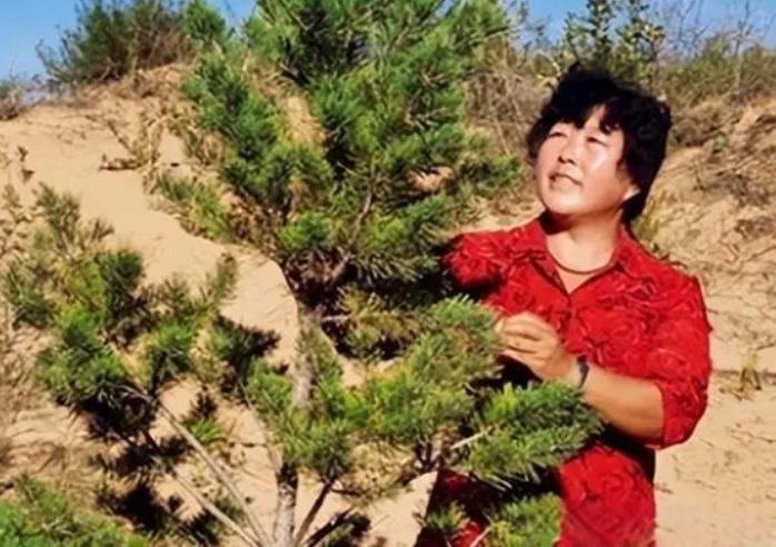 殷玉珍的故事，是用四十年时间，在毛乌素沙地写下的关于“坚守”的注脚。它的价值之所