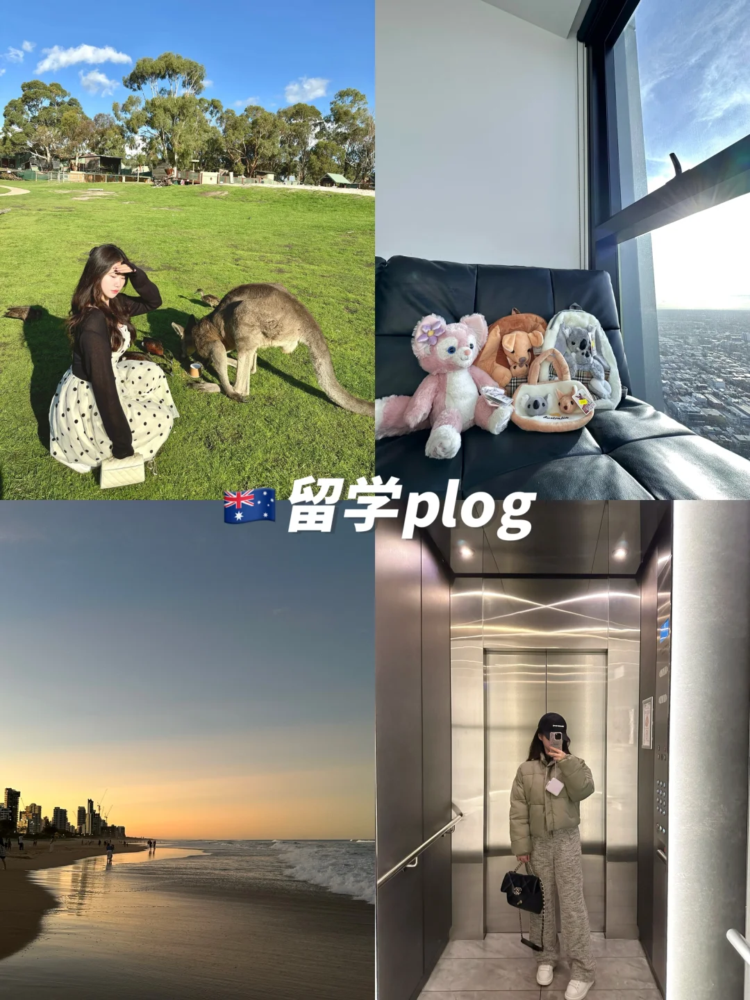 🇦🇺留学之前也没人告诉我有这么多作业啊