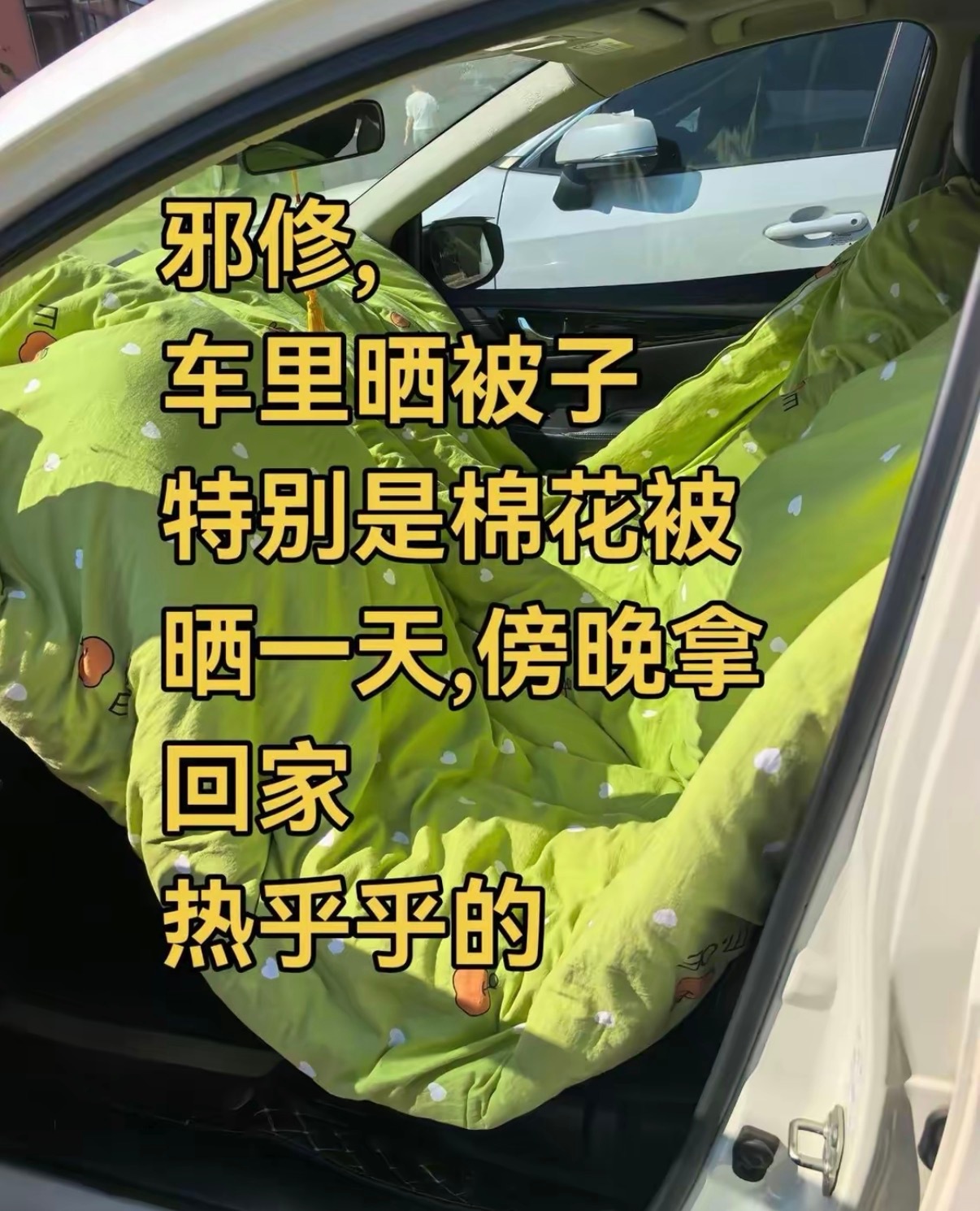 邪修车里晒被子 ​​​