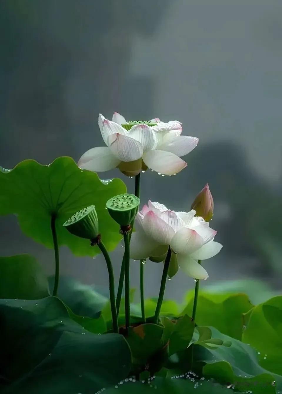 用我老母亲的话说，我从小就是个调皮捣蛋不让人省心的孩子。
小时候，夏天天热，我拿