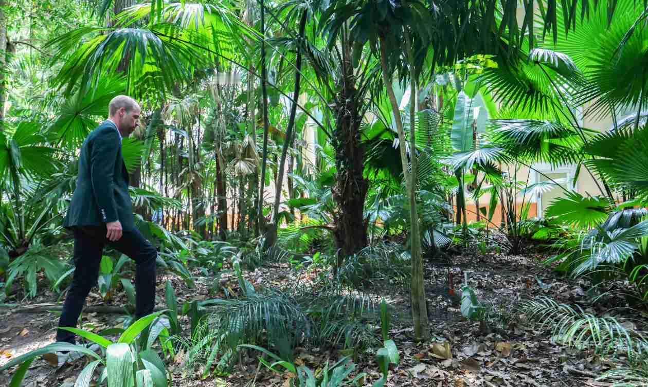 我的今日状态：💰期待暴富
我这里的天气：🌈雨过天晴