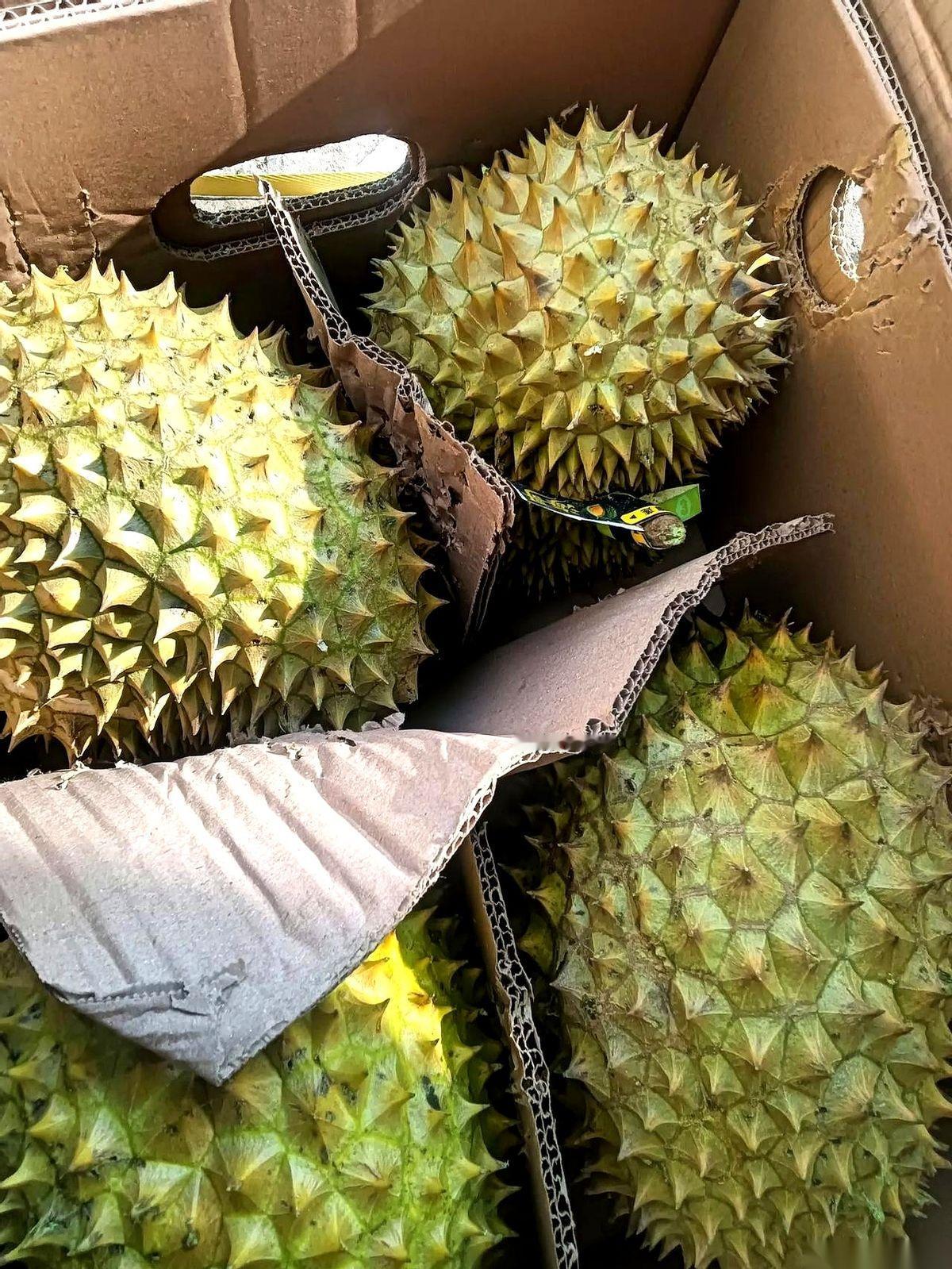 一箱榴莲，我付的钱，我出的力，我一个个给她开的壳。
她倒好，抱着第一瓣，当着我的