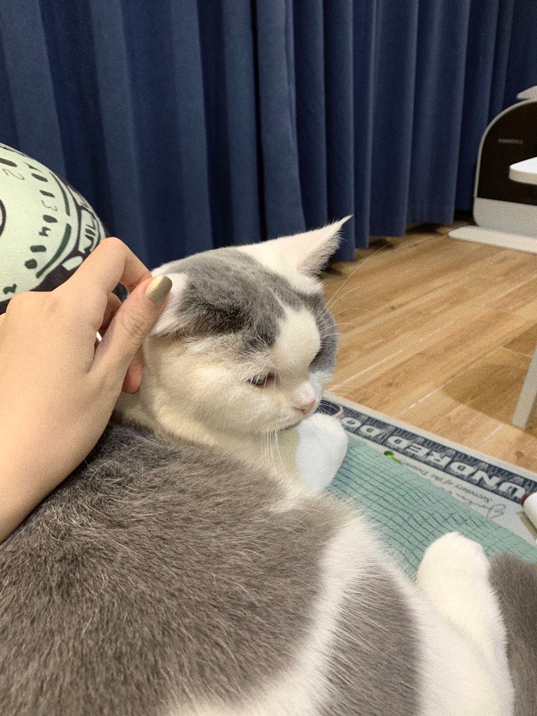 买一堆口袋零食 跟hlt去吃饭路上两个人炫完了二分之一点五 之后发胖的只有我一个