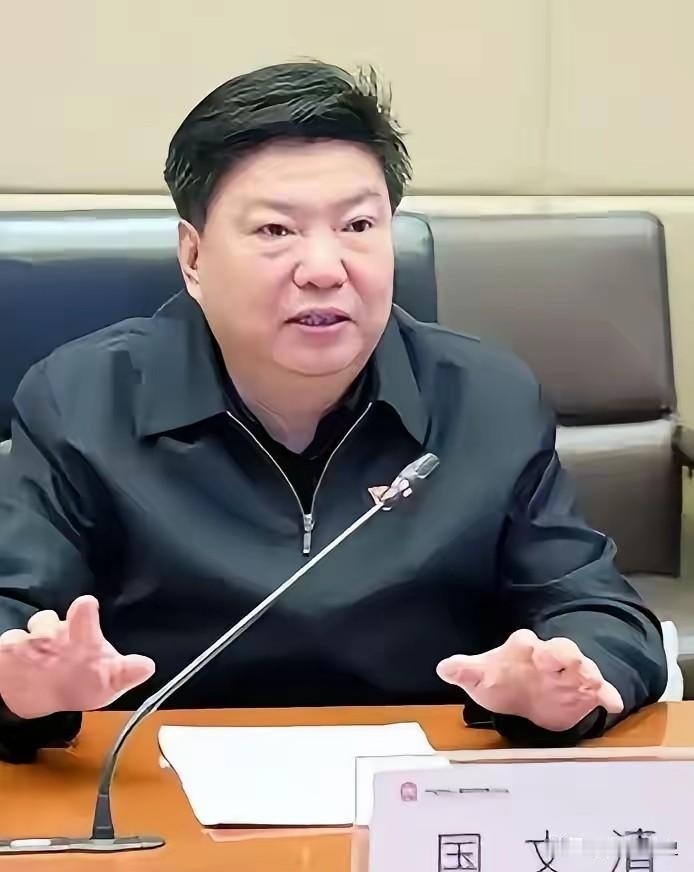 国文清投案，印度那座全球最大高炉该不该建？
​​​五矿原总经理国文清投案了，消息