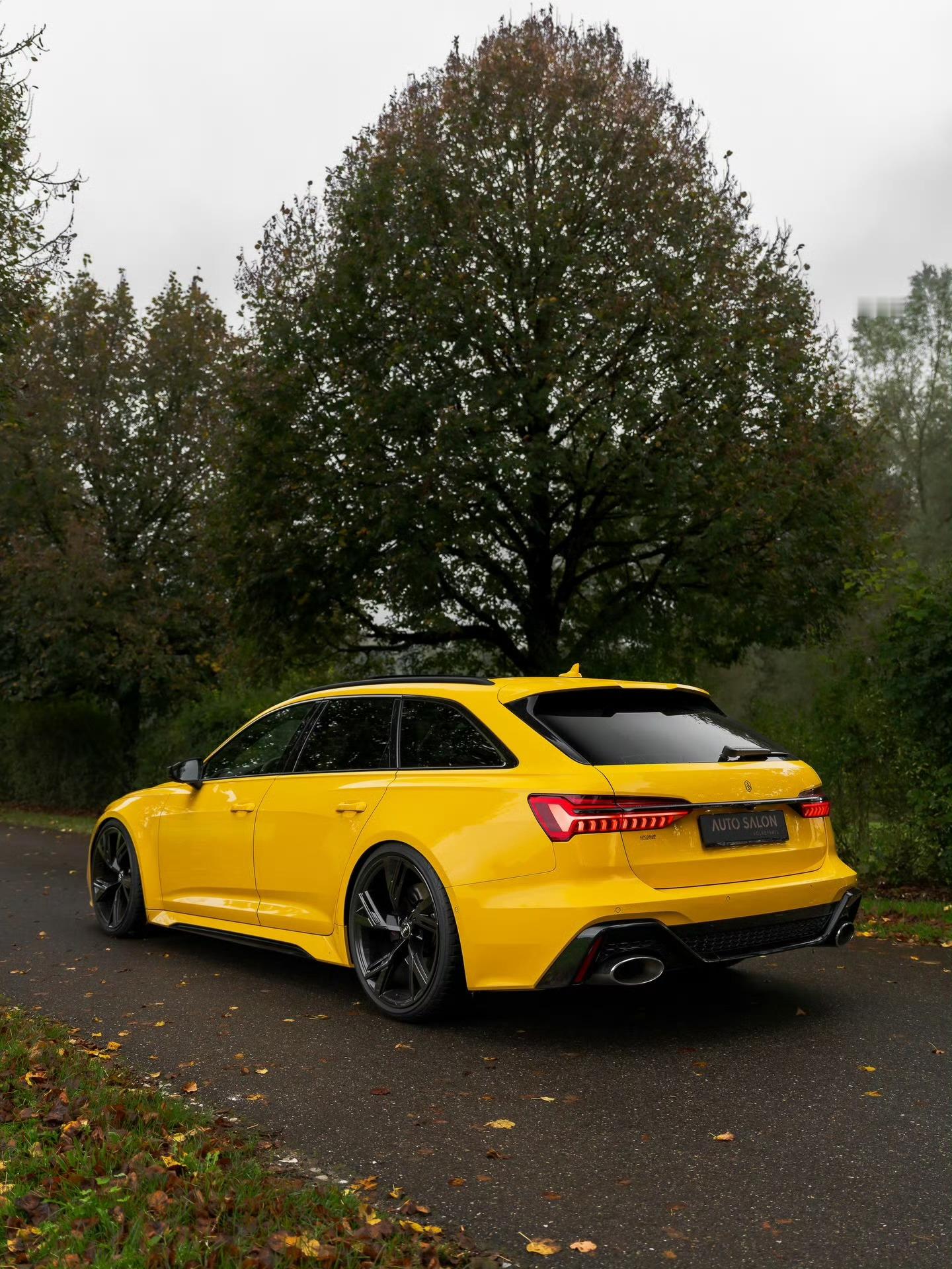 奥迪 RS6 Avant YYDS 