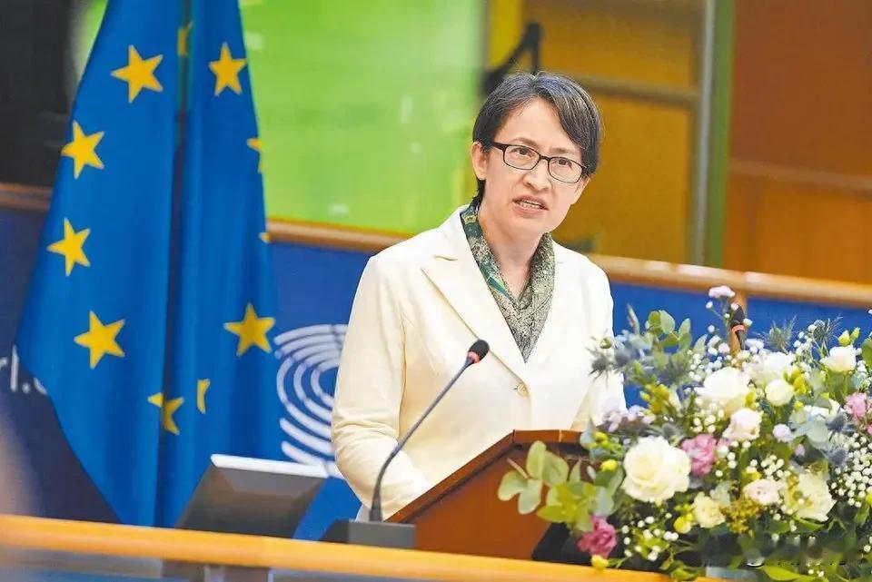 台湾地区副领导人萧美琴跑到欧洲议会去演讲，这事儿你怎么看？

2025年11月7