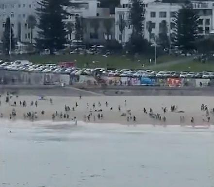 震惊！美丽海滩枪声不断，已致12人死亡！事发澳大利亚邦迪海滩。提起澳大利亚的邦迪