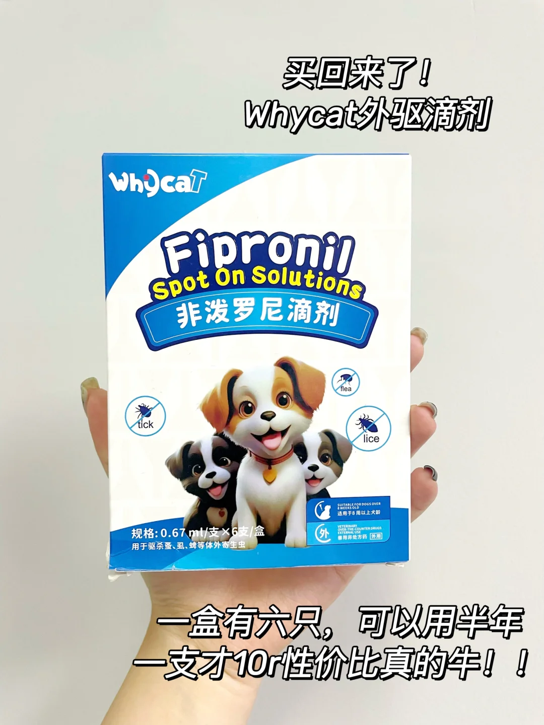 狗是玩开心了，但是我遭殃了