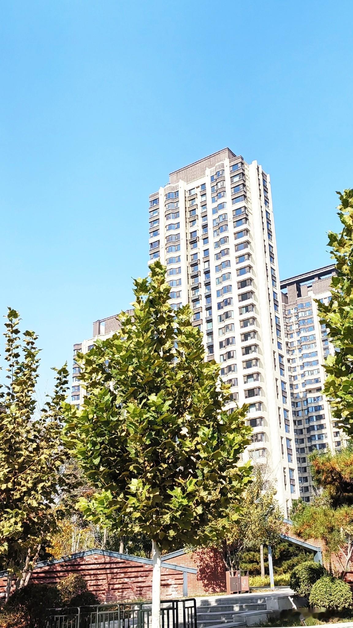 今天石家庄的天气，
阳光明媚可真不错。

随处可见的风景，
尽收眼底。

蓝天白