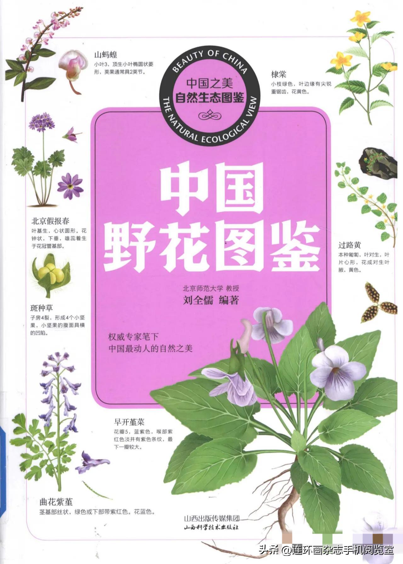《中国野花图鉴》导览〔其它〕