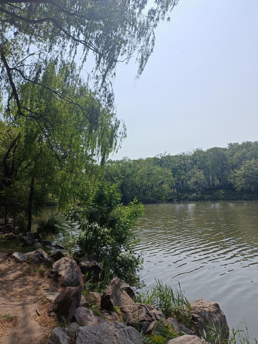 人要活在当下，就得学会放下过去和未来的包袱。过去的遗憾，再怎么纠结也无法改变，未