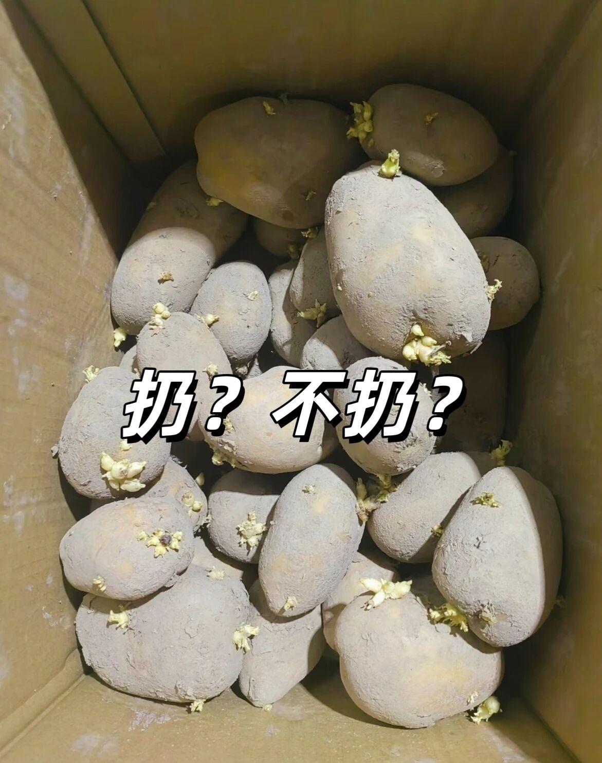 有说可以吃，有说会中毒，那到底能不能吃。[快哭了]