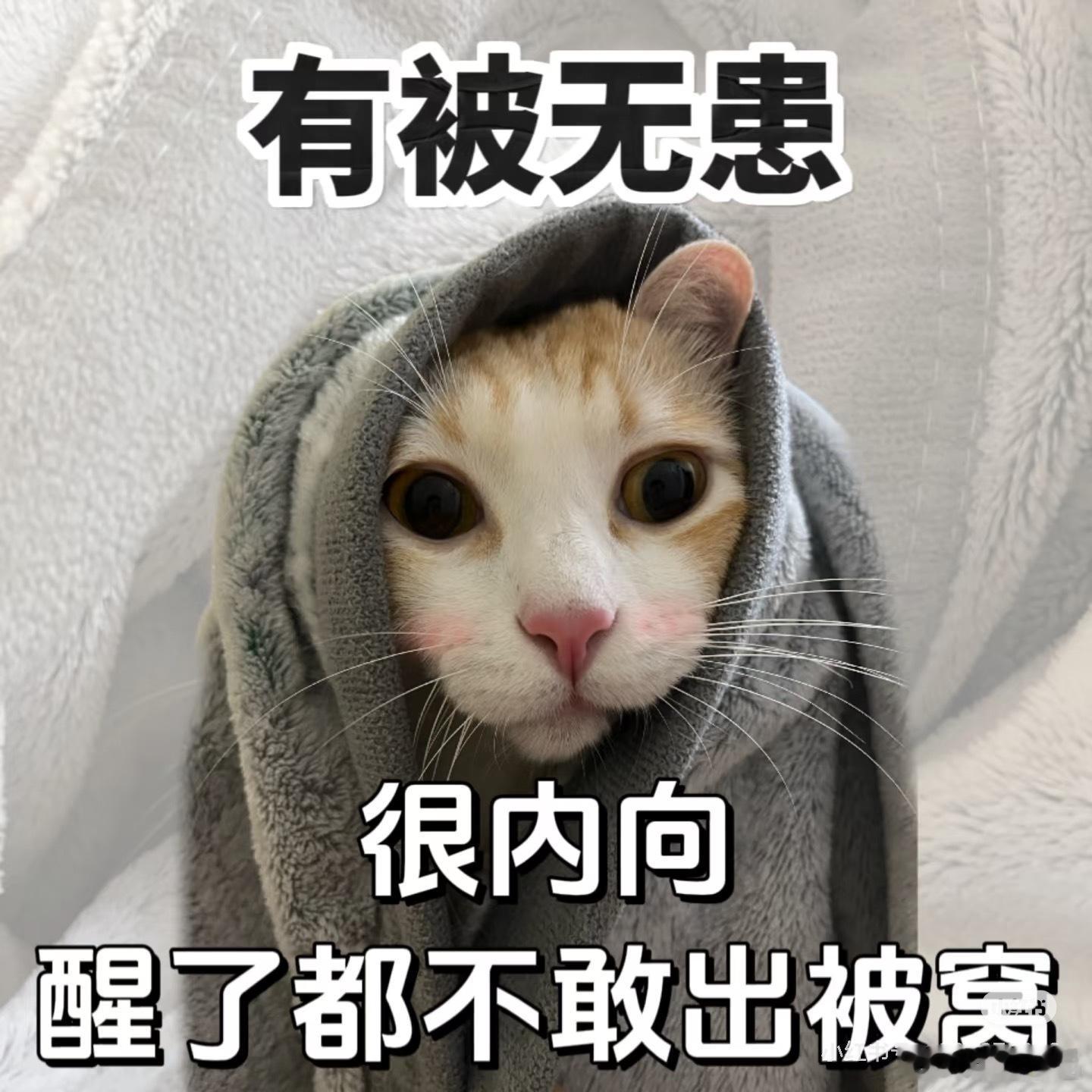 好冷…不想起床…（我是不是说出了你们的心声