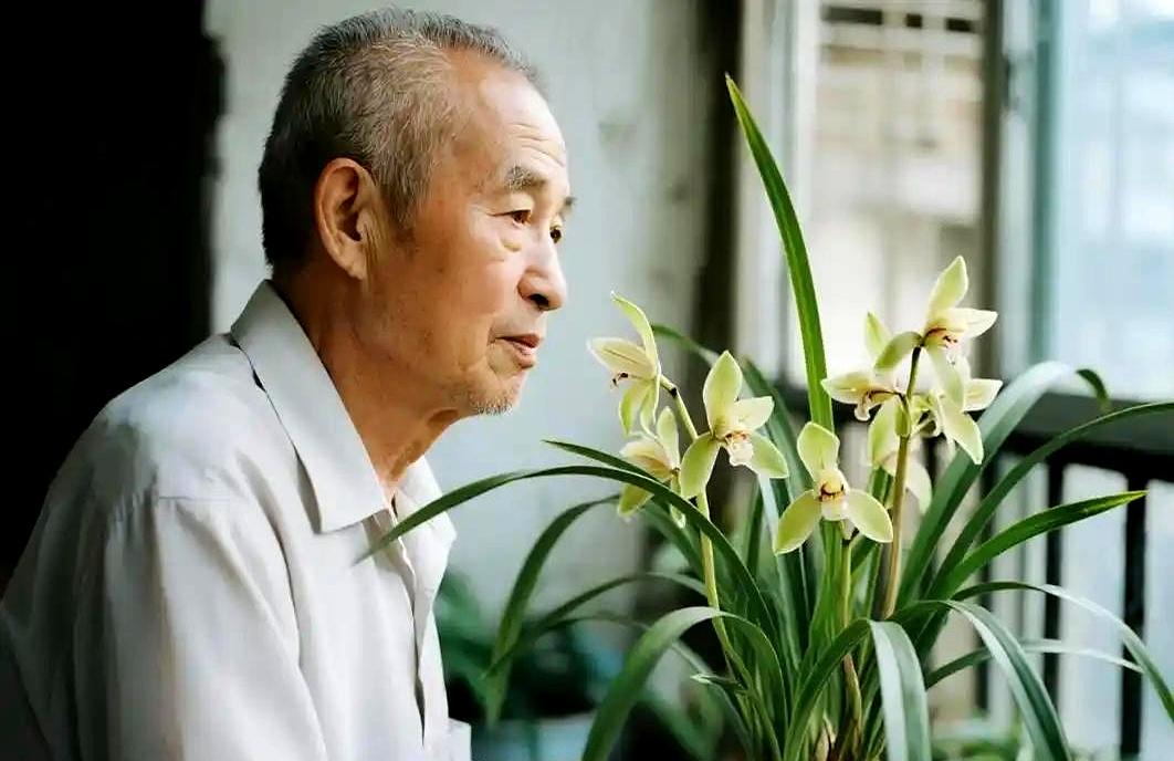 一壶开水泼下去时，兰叶打蔫，老头没吵，只拎包去了小舅家。
退休金九千多，花了千元
